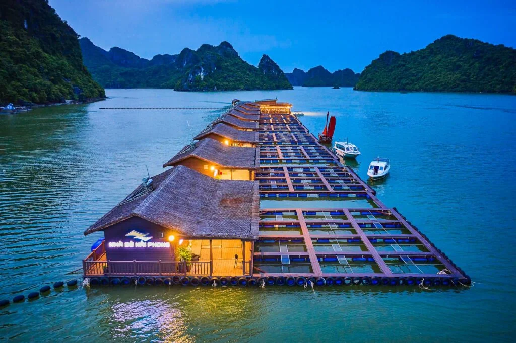 Ảnh tham khảo: cụm nhà bè nổi ở Cát Bà, Hải Phòng, phía dưới là lưới ô vuông nuôi cá