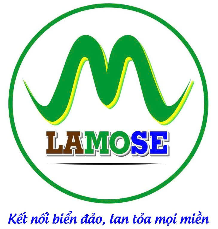 LAMOSE · Tam Anh 3A