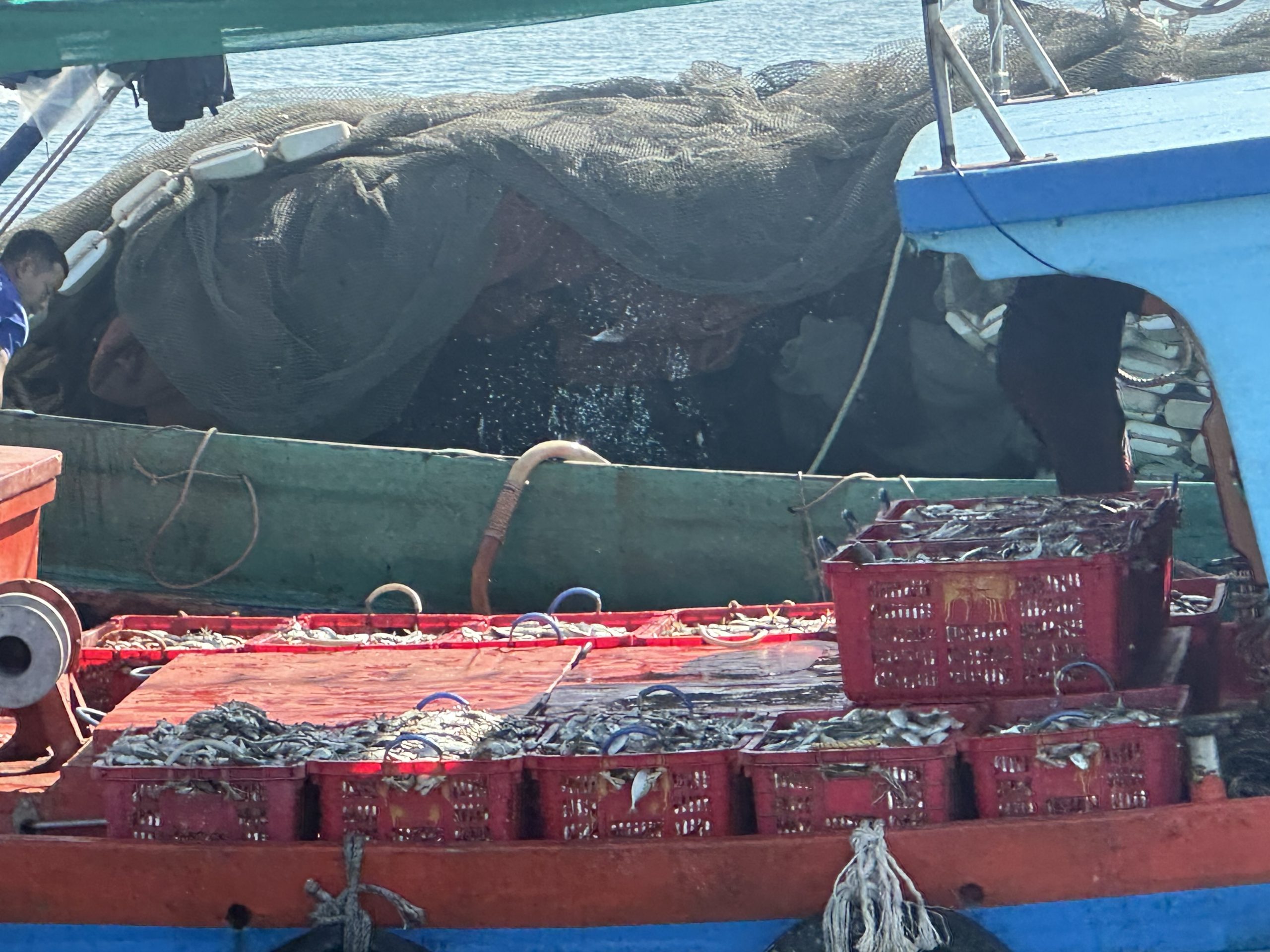 Ghe đầy rổ cá cơm và lưới.jpeg